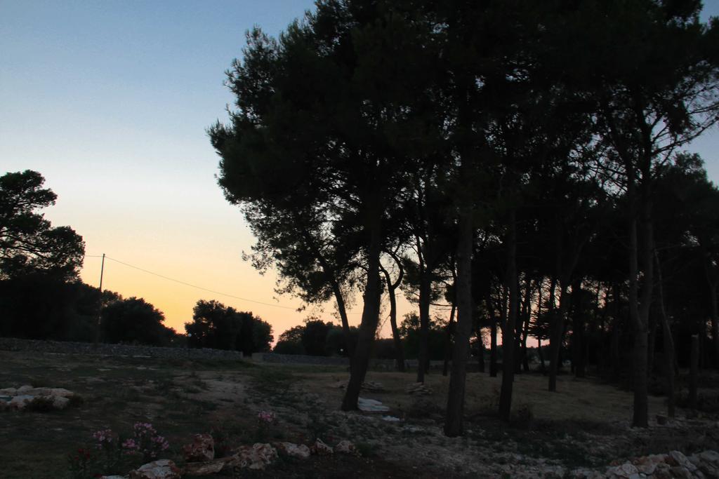 B&B Masseria Nuove Caselle Villa Castelli Exteriér fotografie